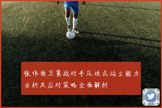 张伟丽卫冕战对手压迫式站立能力分析及应对策略全面解析